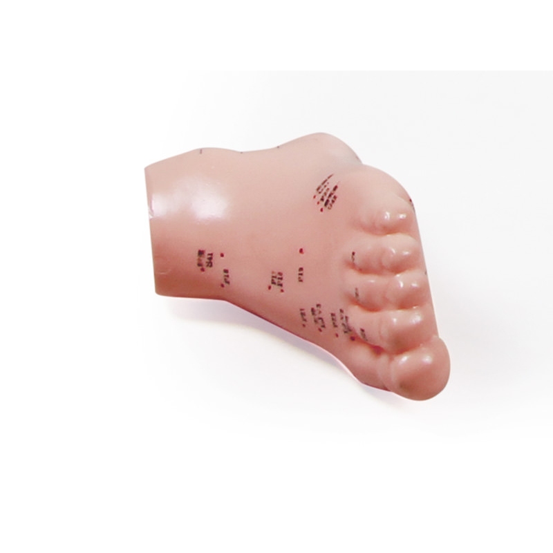 MODEL STOPALA ZA AKUPUNKTURO