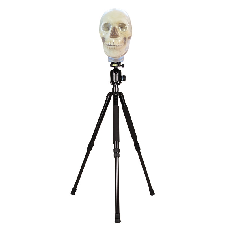 Stativ za glavo rentgenskega fantoma