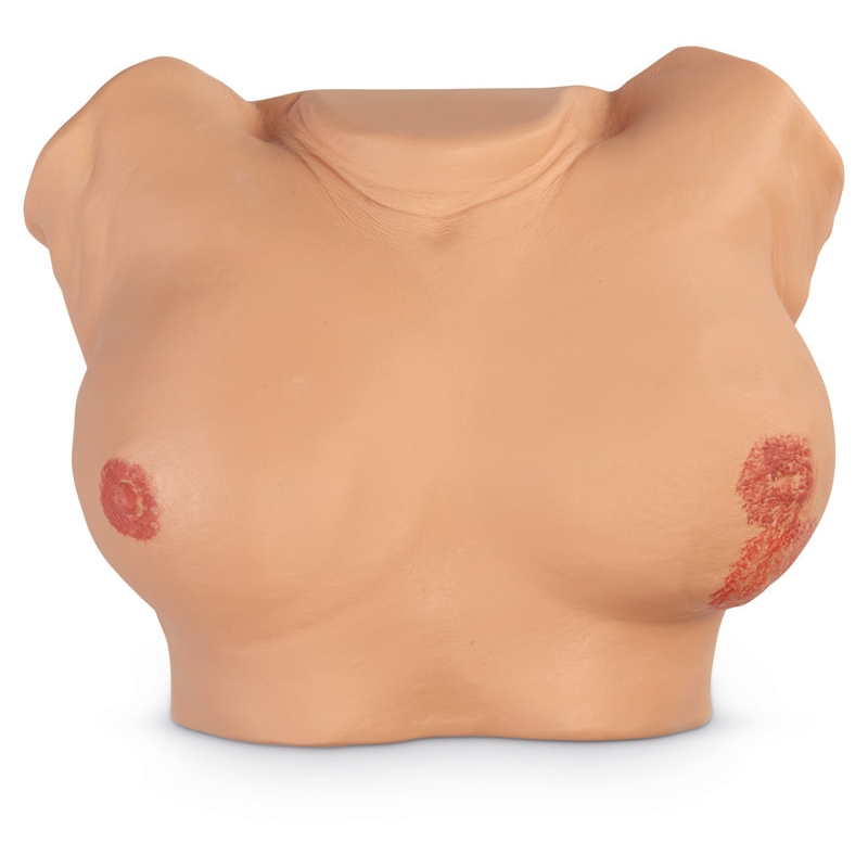 Napredni simulator pregleda dojk