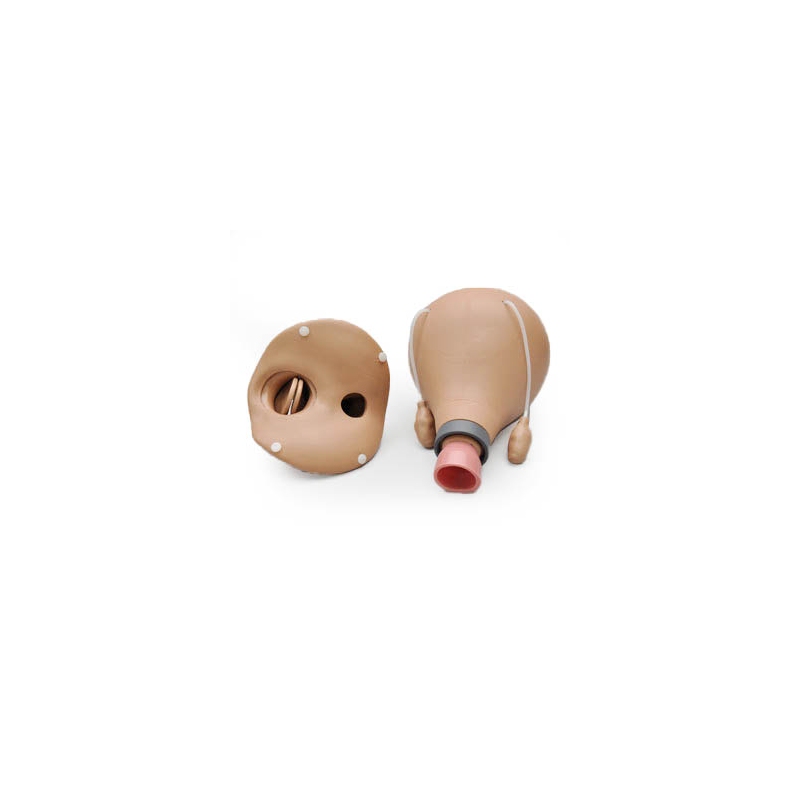 Poporodna maternica za R10183 (48 ur)