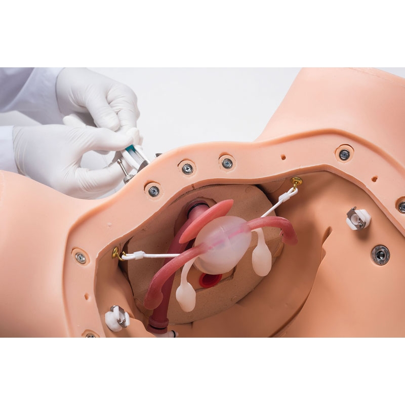 Trenažer ginekoloških veščin ZOE