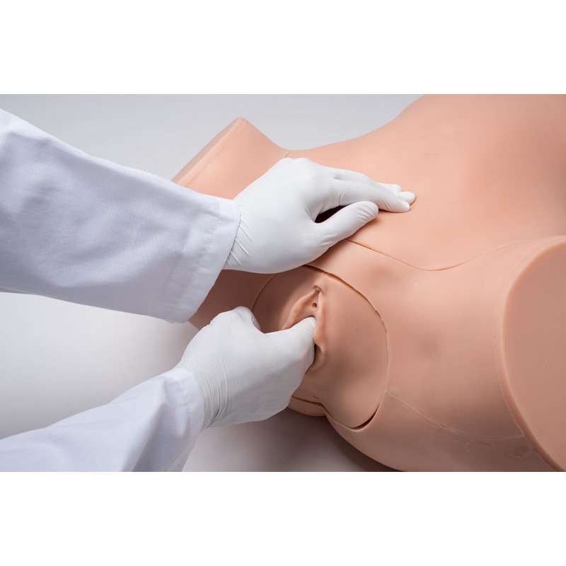 Trenažer ginekoloških veščin ZOE