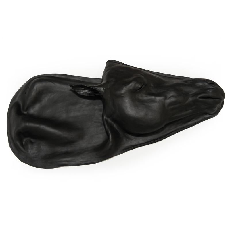 Nadomestna koža Equine Simulator 1.0