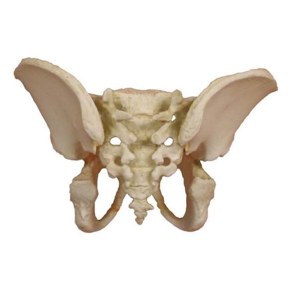 Medenica petletnega otroka