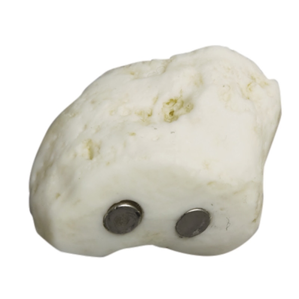 Človeško magnetno stopalo, desno