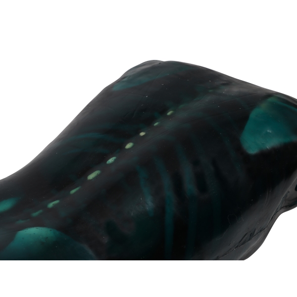 "Echo Eddie" Napredni simulator ultrazvočnega pregleda