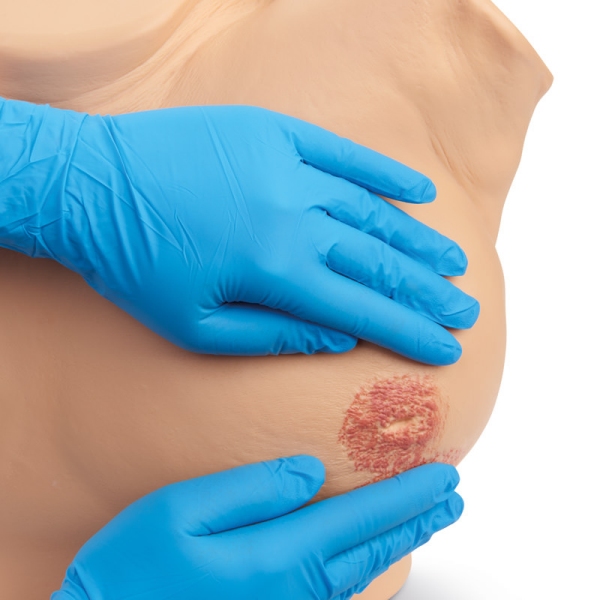 Napredni simulator pregleda dojk