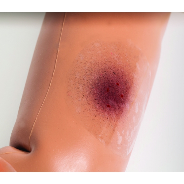 DANi Trener za oskrbo najstnikov in mladih odraslih