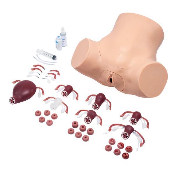 Trenažer ginekoloških veščin ZOE