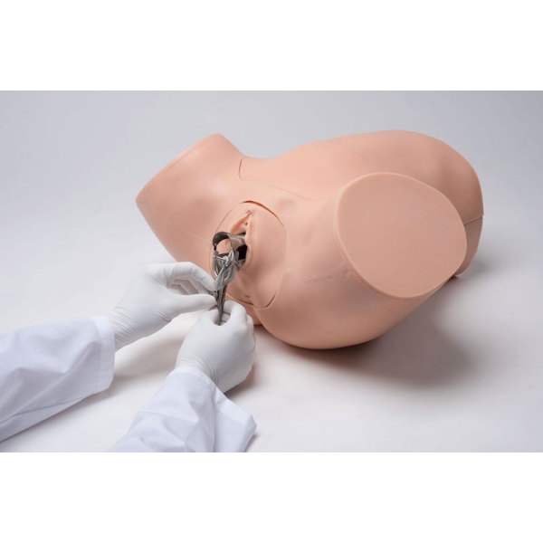 Trenažer ginekoloških veščin ZOE