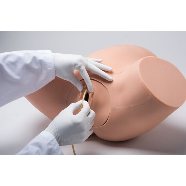 Trenažer ginekoloških veščin ZOE