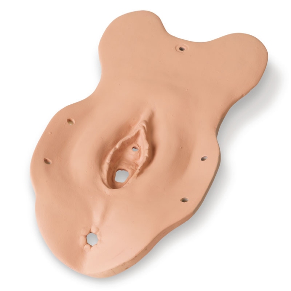 Celoten komplet specializiranih izpitnih modulov za R10940