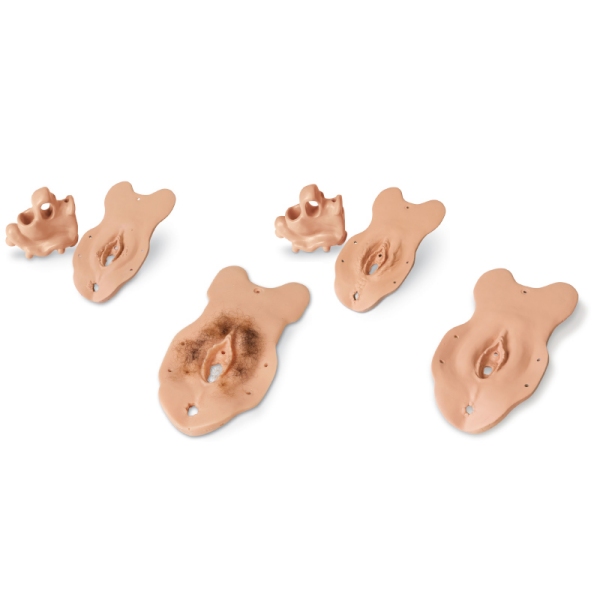 Celoten komplet specializiranih izpitnih modulov za R10940