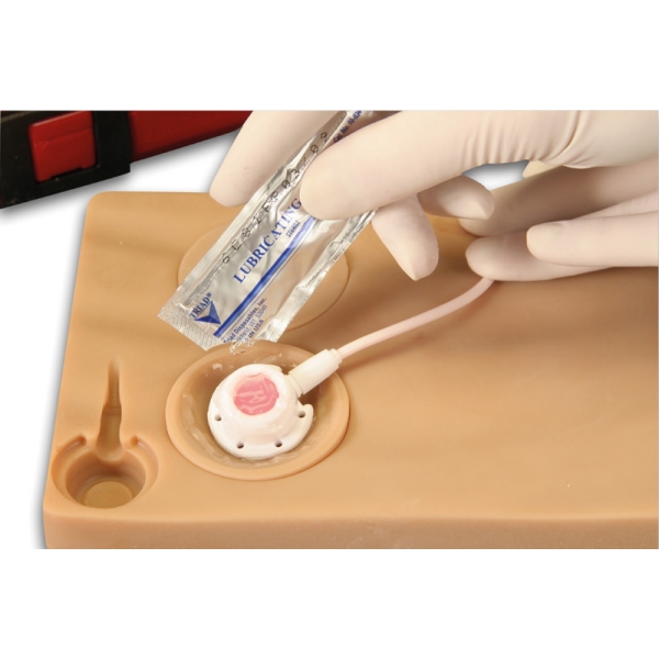 Port - "Telo v škatli"