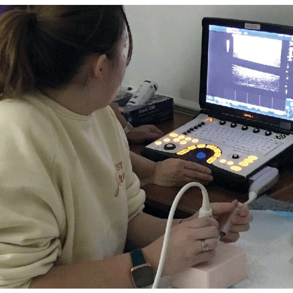 Ultrazvočni trenažer SonoEZ "globoka venska tromboza"