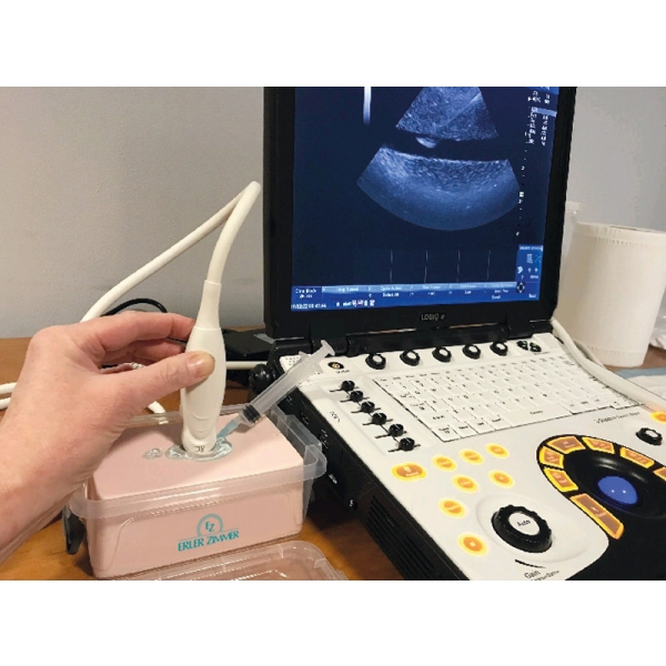 Ultrazvočni trenažer SonoEZ "globoka venska tromboza"