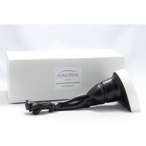 Simulator žilnega dostopa za pasje noge