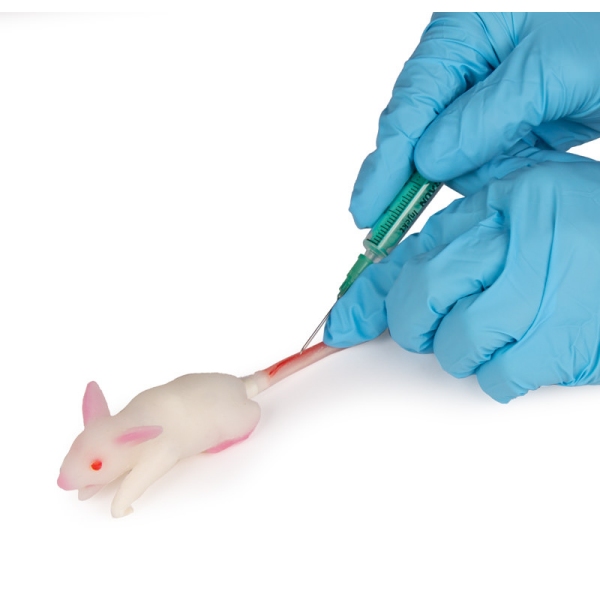 Simulacijski model miške