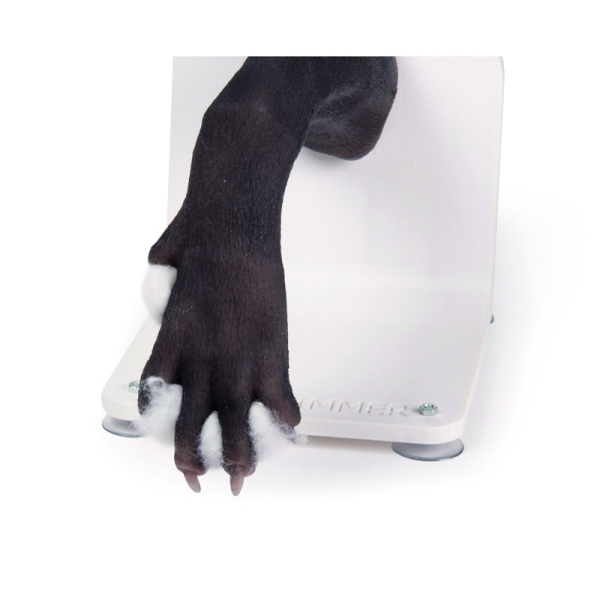 Bandažni trenažer pasje tačke