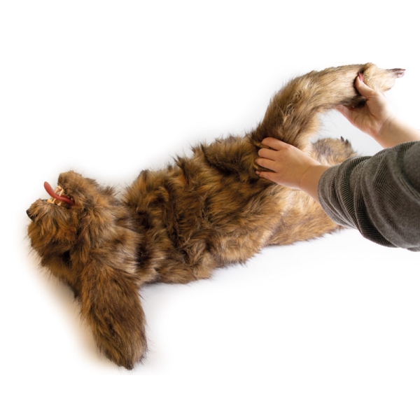 "Rocky" lutka za pozicioniranje psov