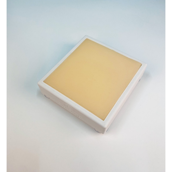 IM punkcija trener za male živali