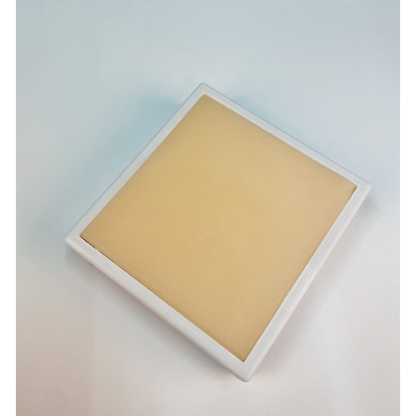 IM punkcija trener za male živali