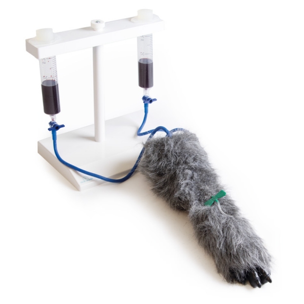 IV. Vbrizgavanje noge psov