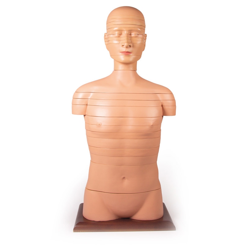 Torzo diska, naravna velikost