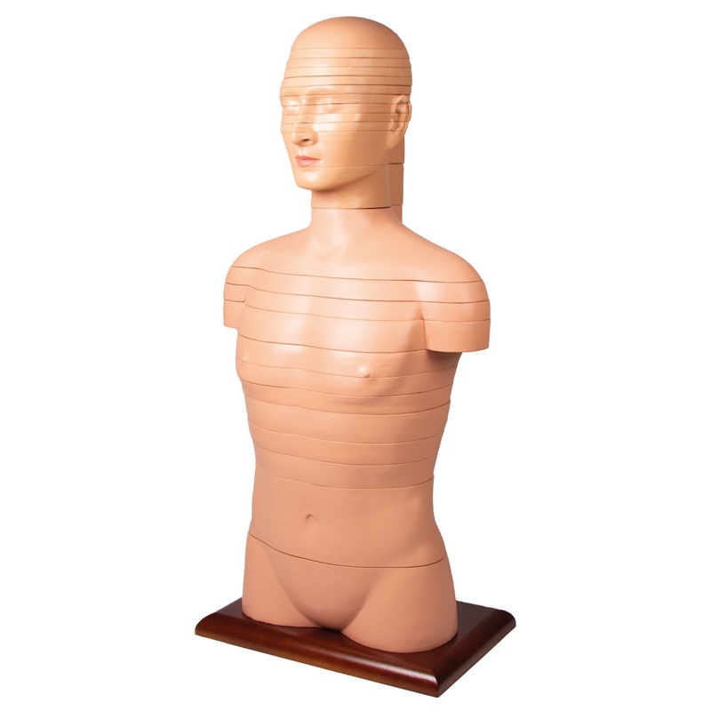 Torzo diska, naravna velikost