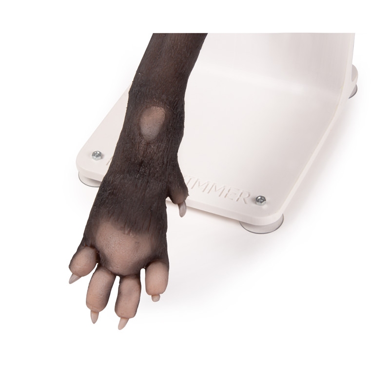 Bandažni trenažer pasje tačke