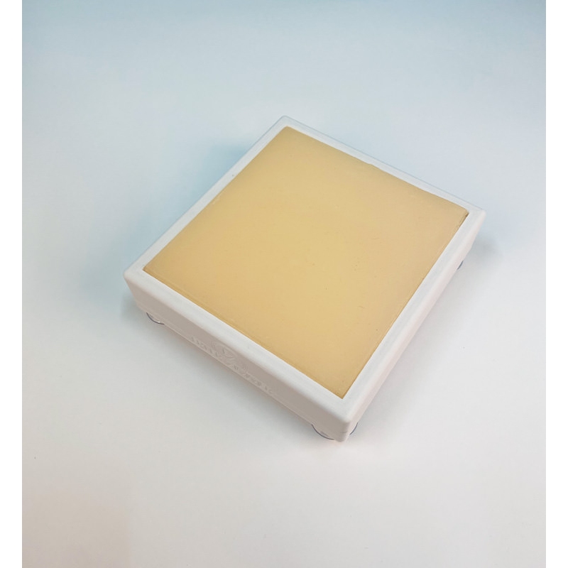 IM punkcija trener za male živali