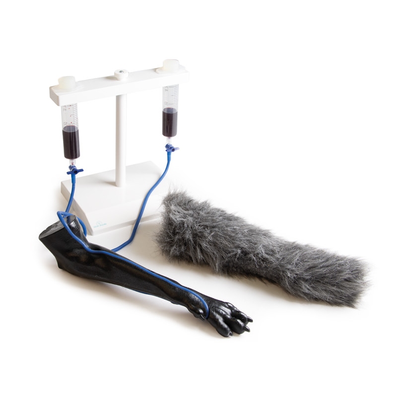 IV. Vbrizgavanje noge psov