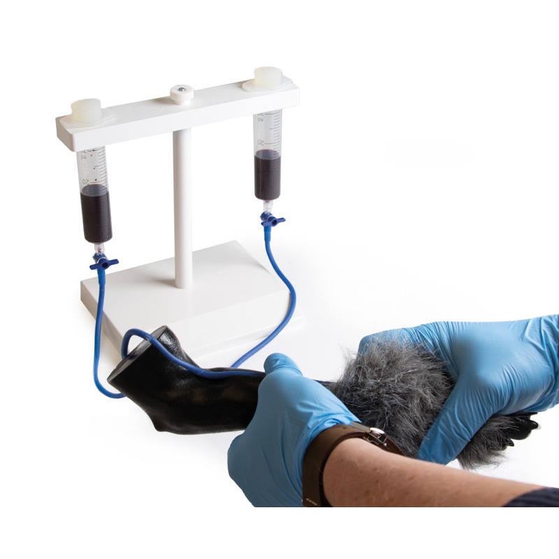 IV. Vbrizgavanje noge psov