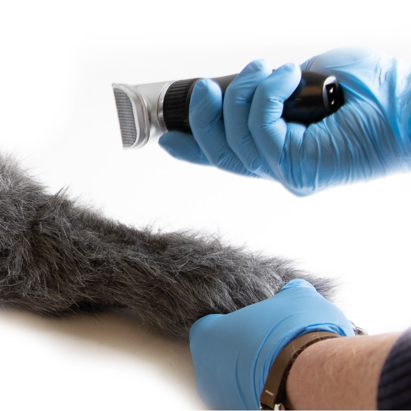 IV. Vbrizgavanje noge psov