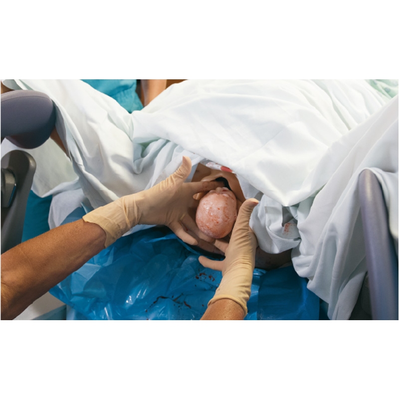 Osnovni simulator poroda mater in novorojenčkov 