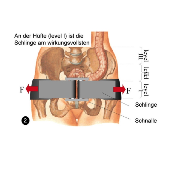 SAM PELVIC opornica za medenico  (Velikosti S, M, L)